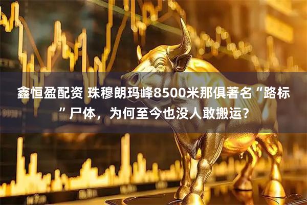 鑫恒盈配资 珠穆朗玛峰8500米那俱著名“路标”尸体，为何至今也没人敢搬运？