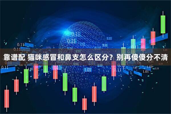 靠谱配 猫咪感冒和鼻支怎么区分？别再傻傻分不清
